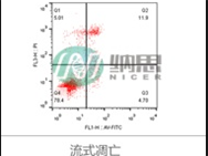 流式细胞凋亡